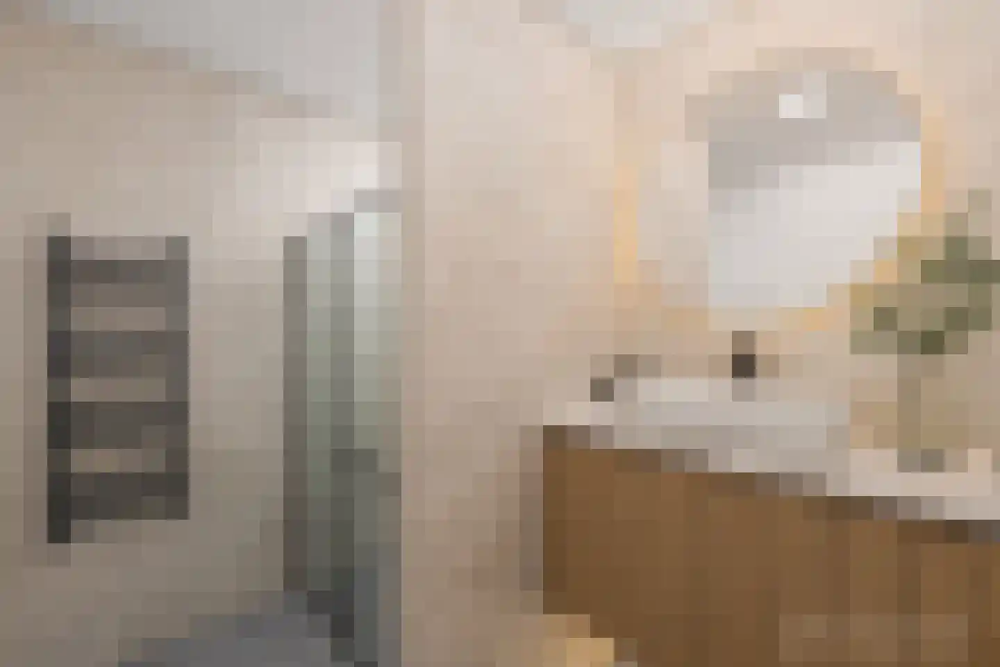 Tengbergenstraat 3 Doesburg thumbnail 29