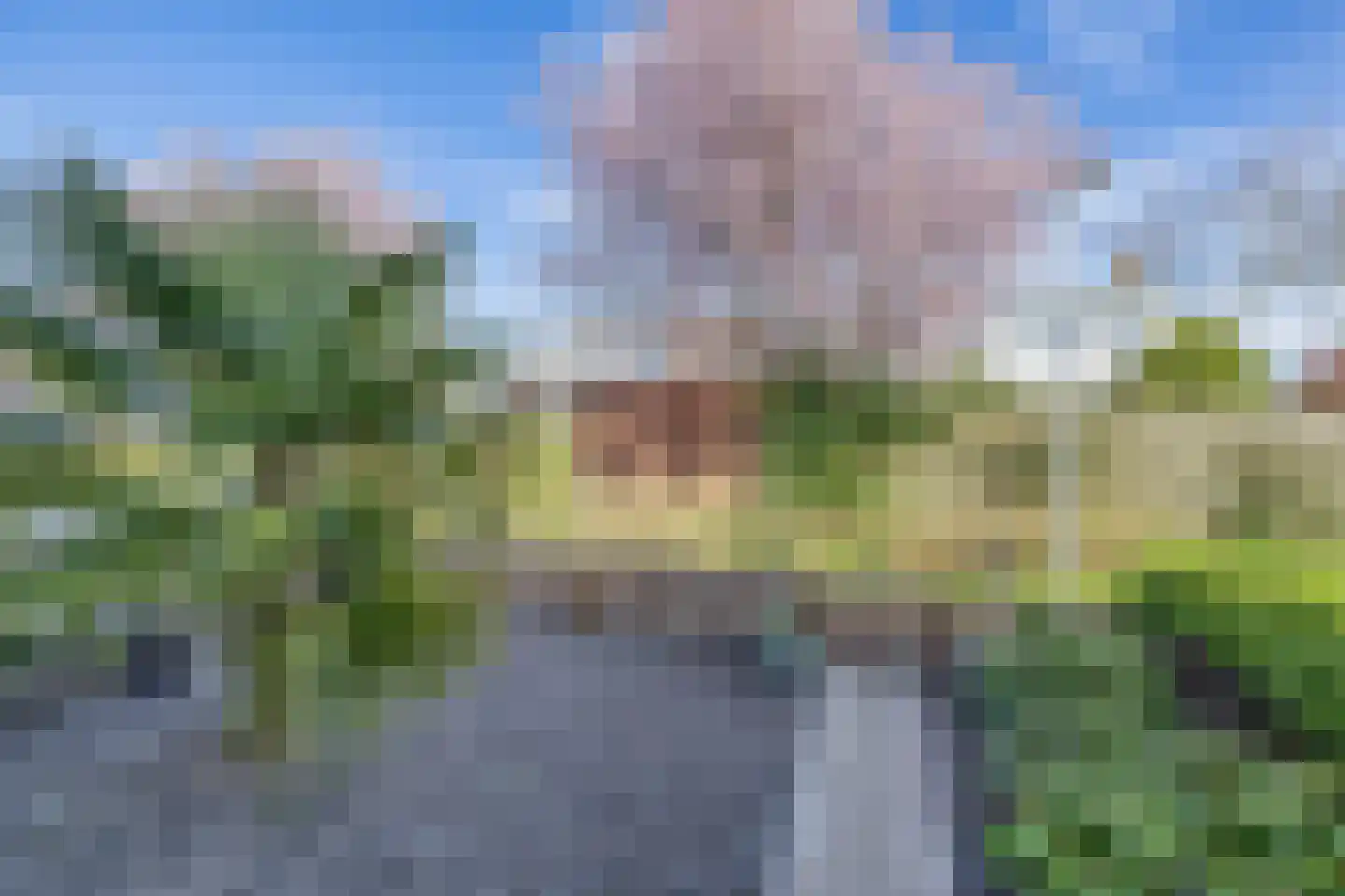 Tengbergenstraat 3 Doesburg thumbnail 32