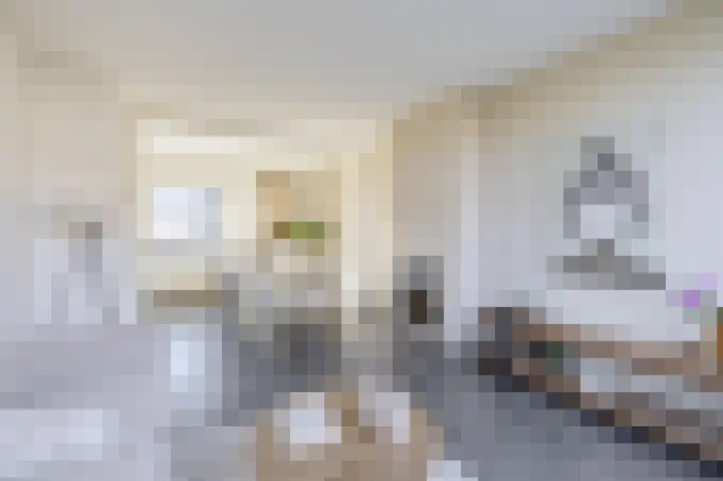 Tengbergenstraat 3 Doesburg thumbnail 6