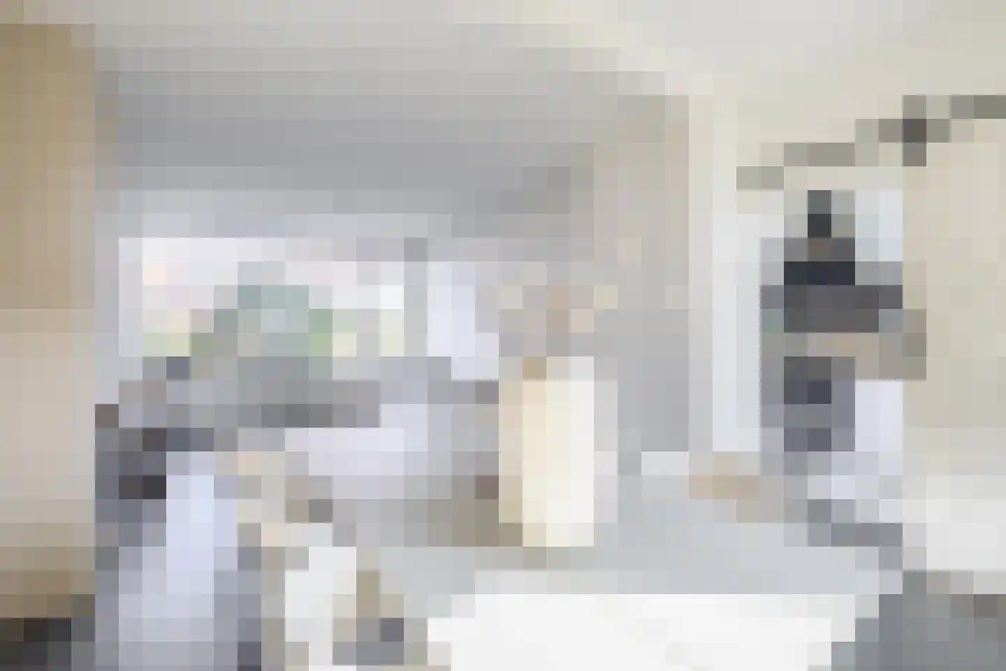 Tengbergenstraat 3 Doesburg thumbnail 8