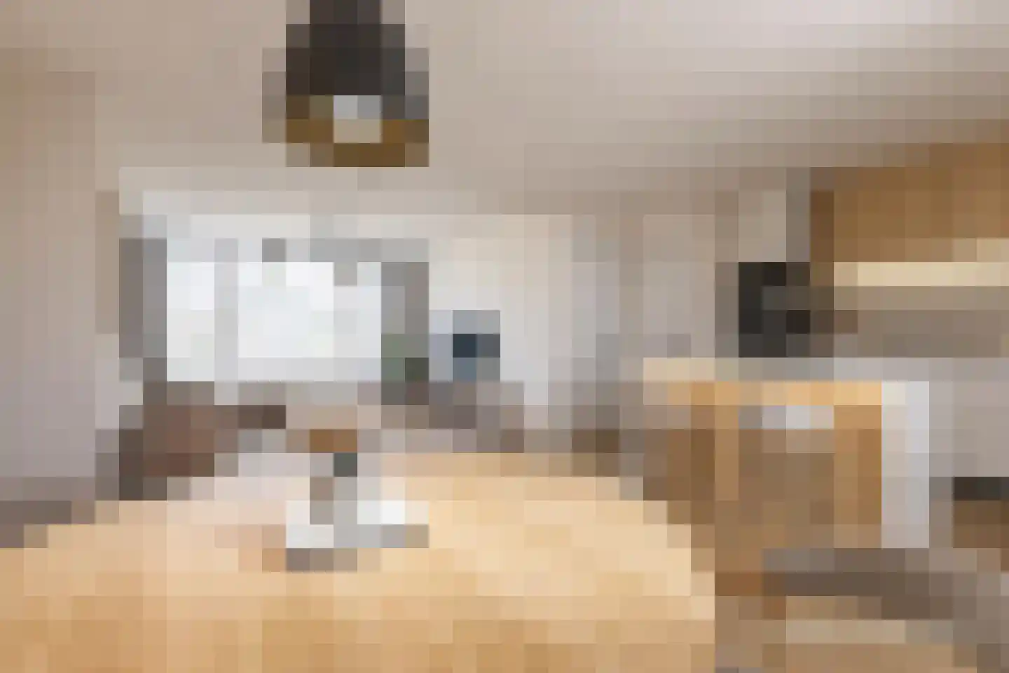 Tengbergenstraat 3 Doesburg thumbnail 9