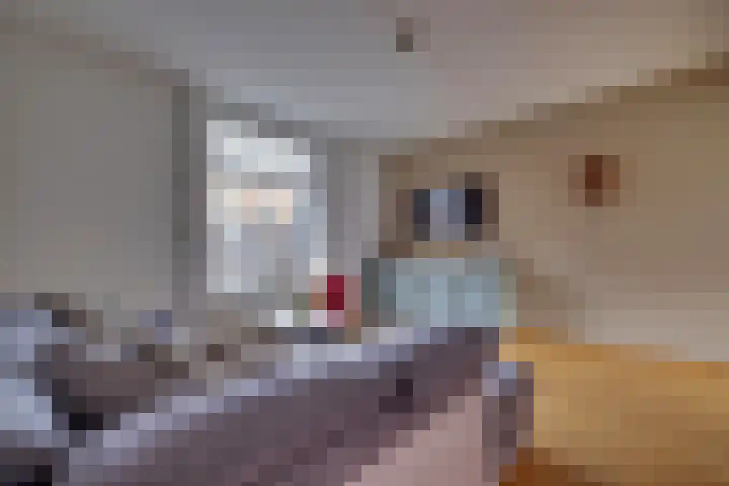 Tengbergenstraat 32 Tolkamer thumbnail 12