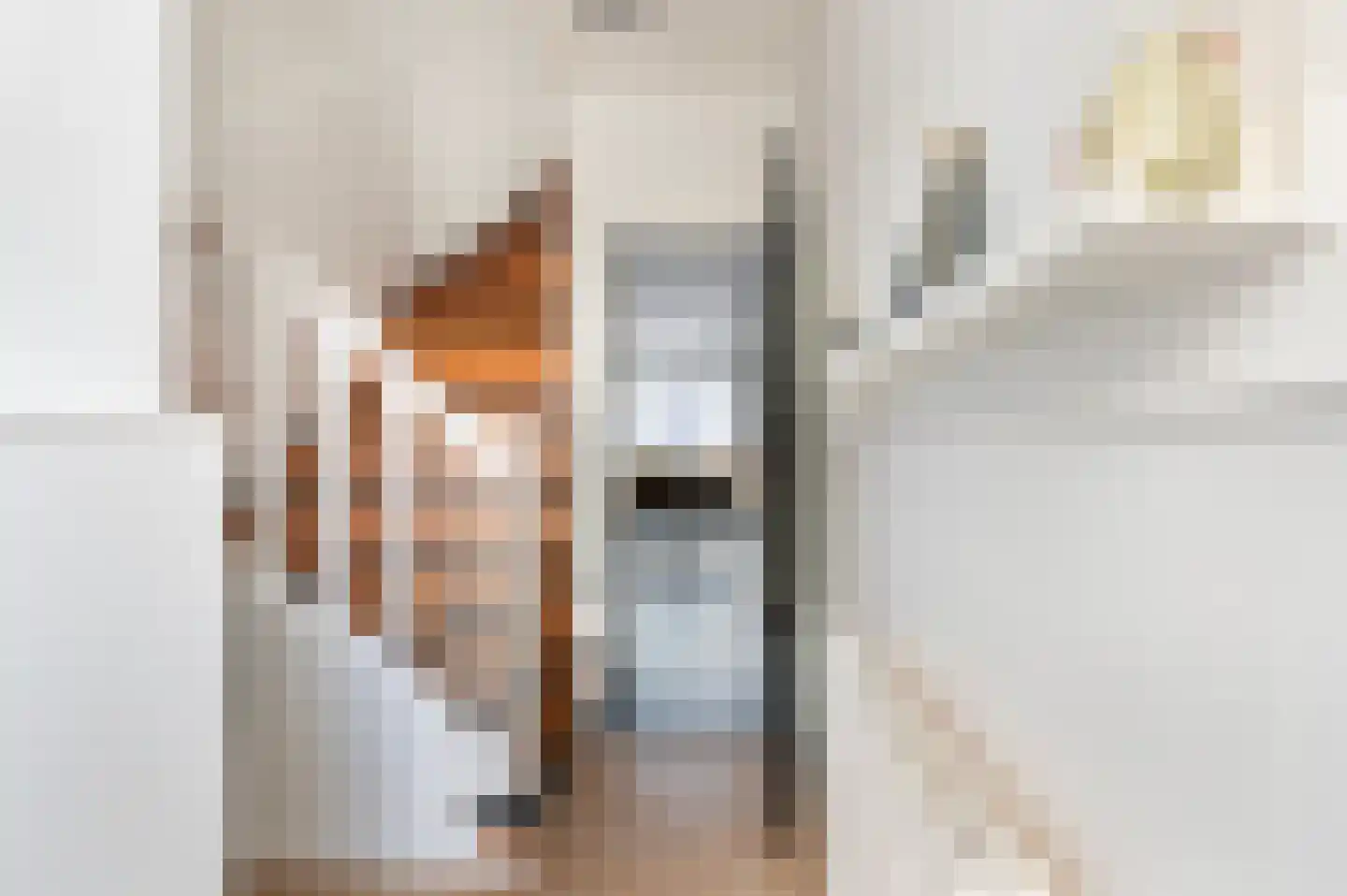 Tengbergenstraat 7 Doesburg thumbnail 13