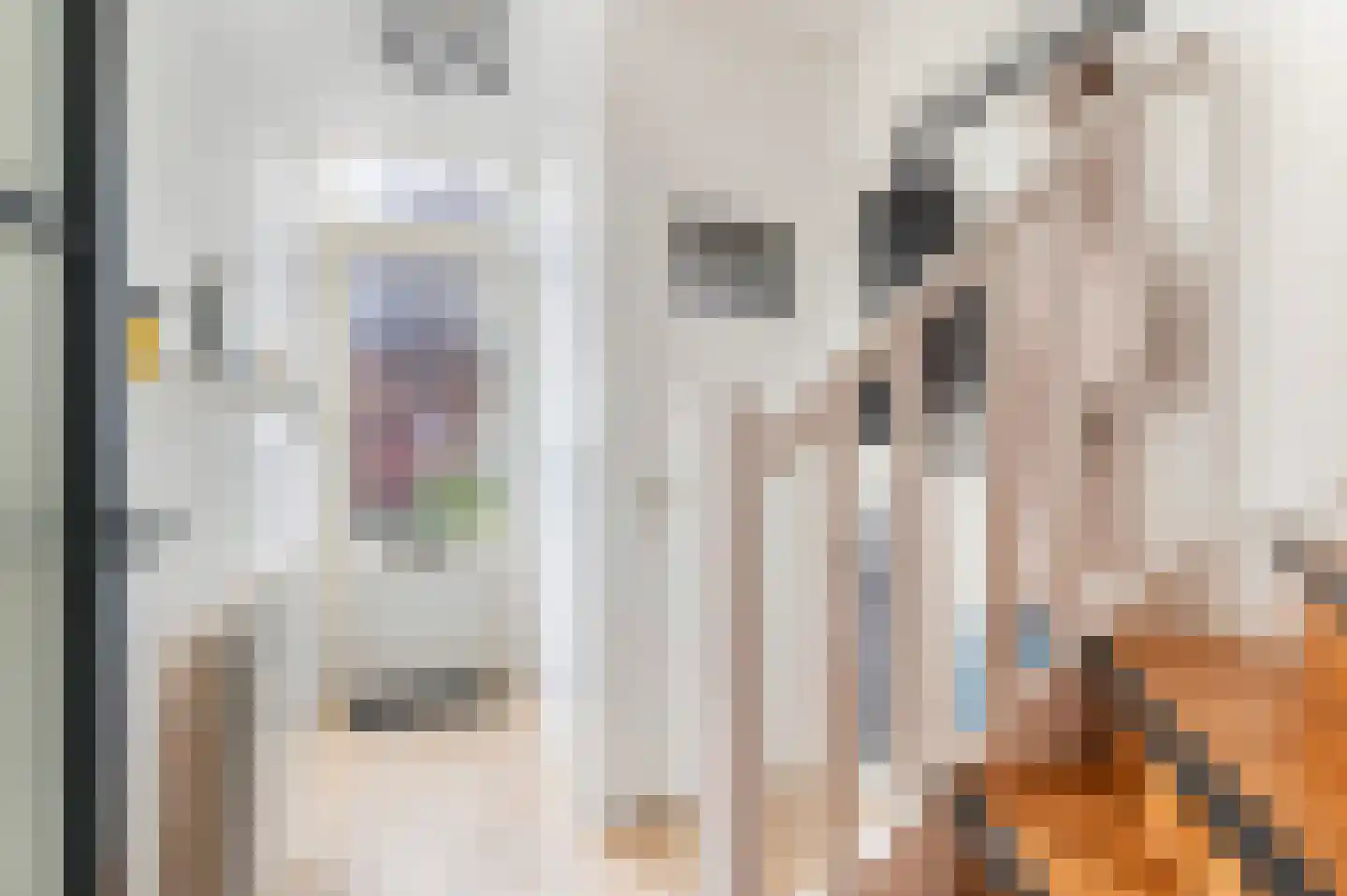 Tengbergenstraat 7 Doesburg thumbnail 14
