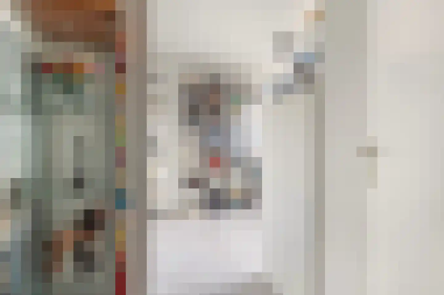 Tengbergenstraat 7 Doesburg thumbnail 19