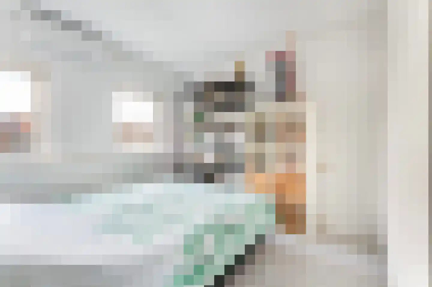 Tengbergenstraat 7 Doesburg thumbnail 26