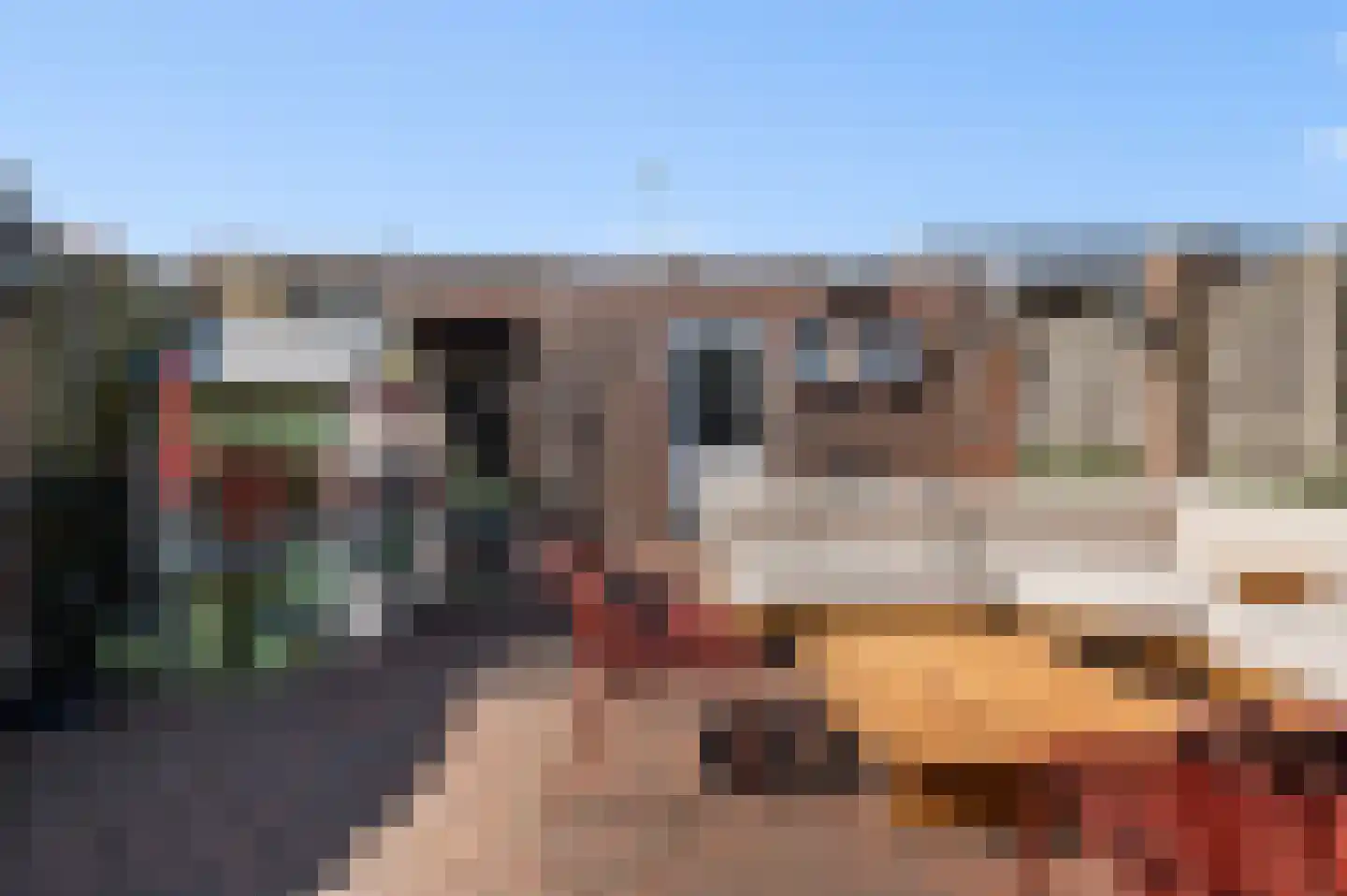 Tengbergenstraat 7 Doesburg thumbnail 28
