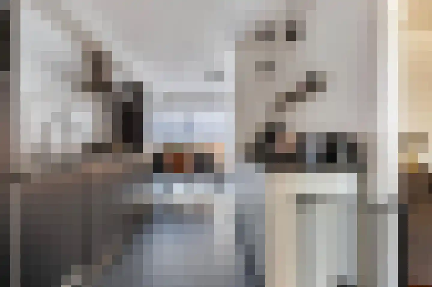 Tengbergenstraat 7 Doesburg thumbnail 7