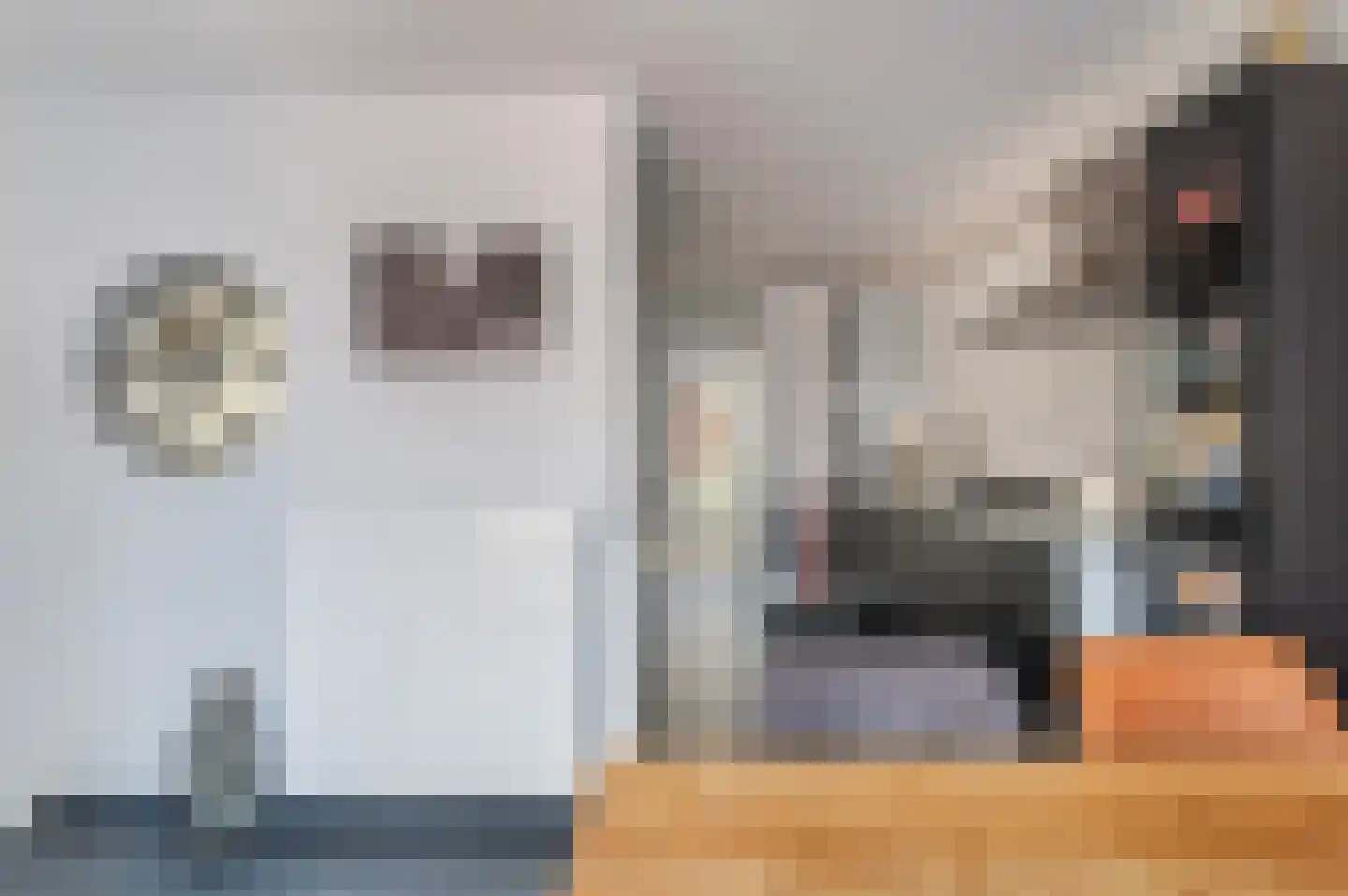 Tengbergenstraat 7 Doesburg thumbnail 9