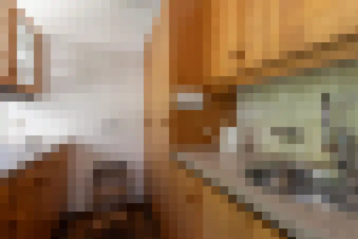 Tengnagel 1 Neede thumbnail 10