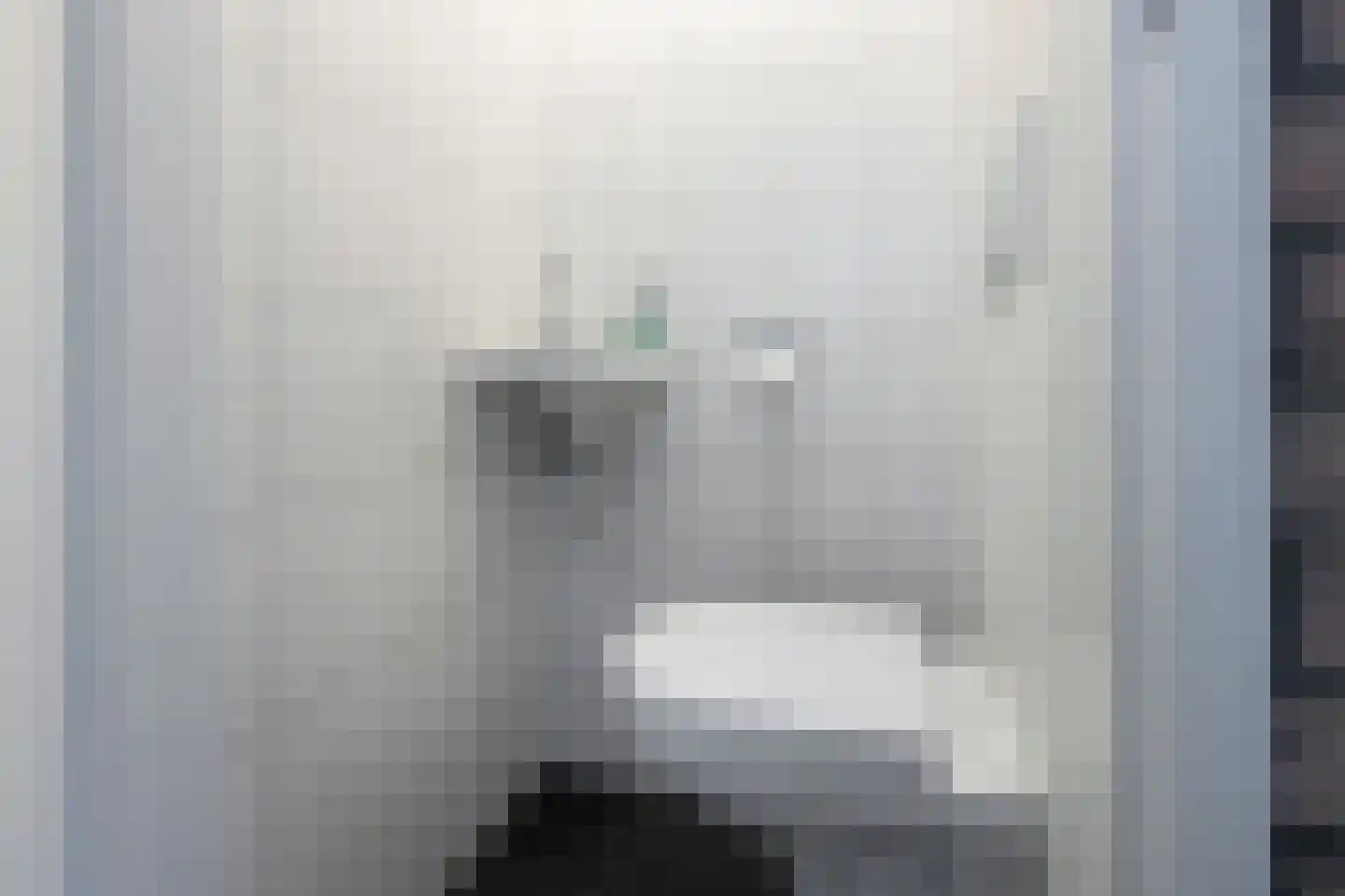 Tengnagel 1 Neede thumbnail 13