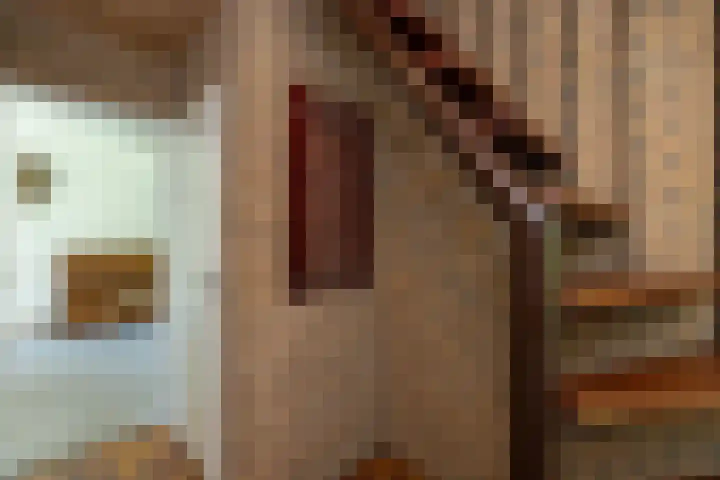 Tengnagel 1 Neede thumbnail 14