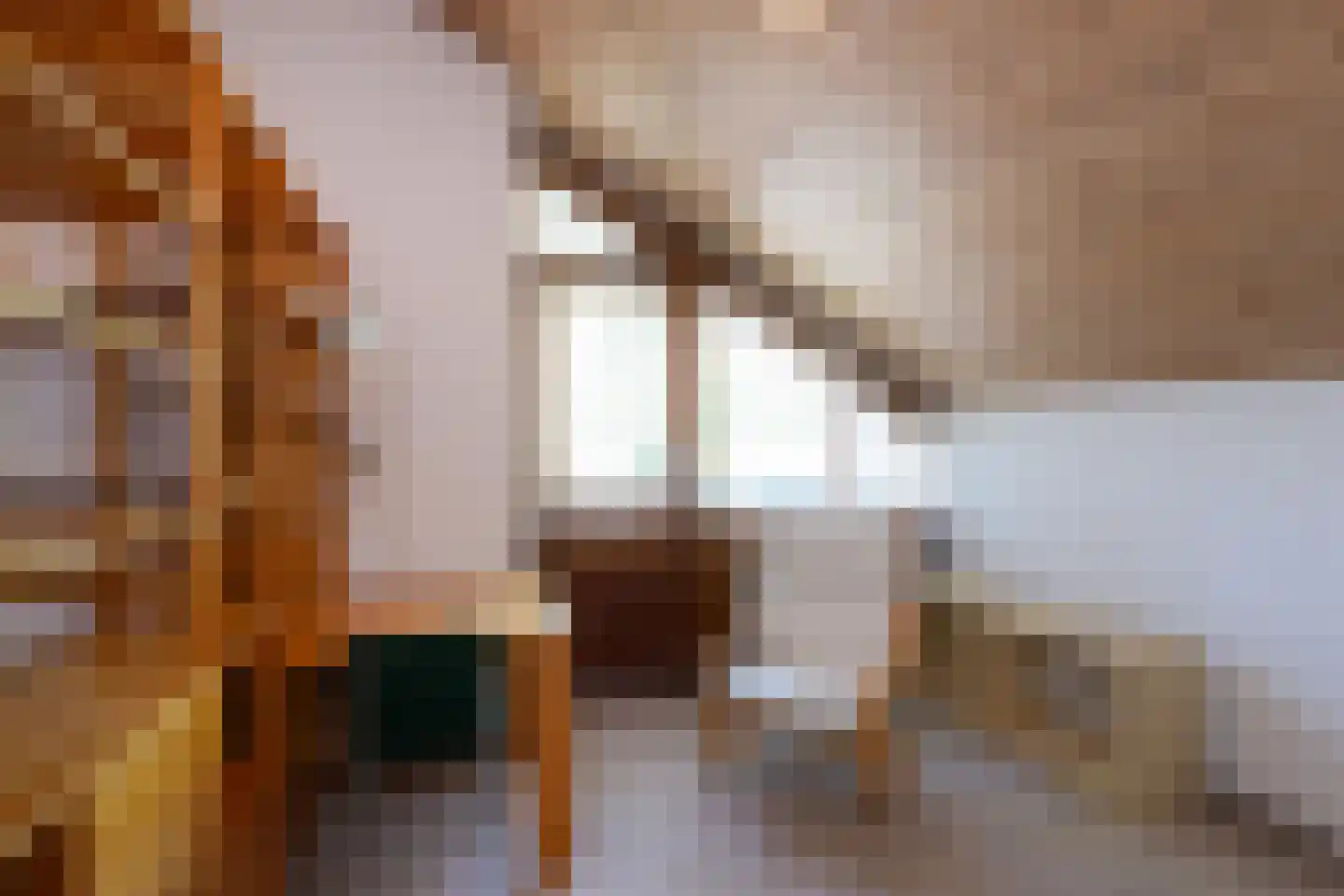 Tengnagel 1 Neede thumbnail 19