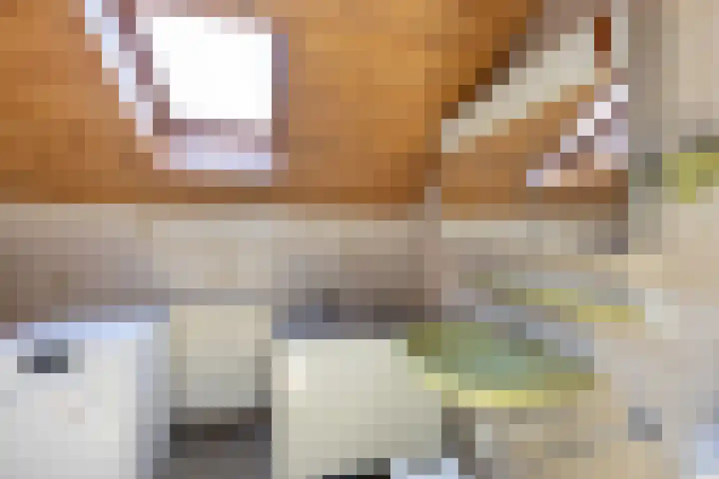 Tengnagel 1 Neede thumbnail 25