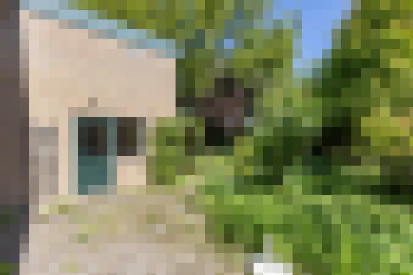 Tengnagel 1 Neede thumbnail 30