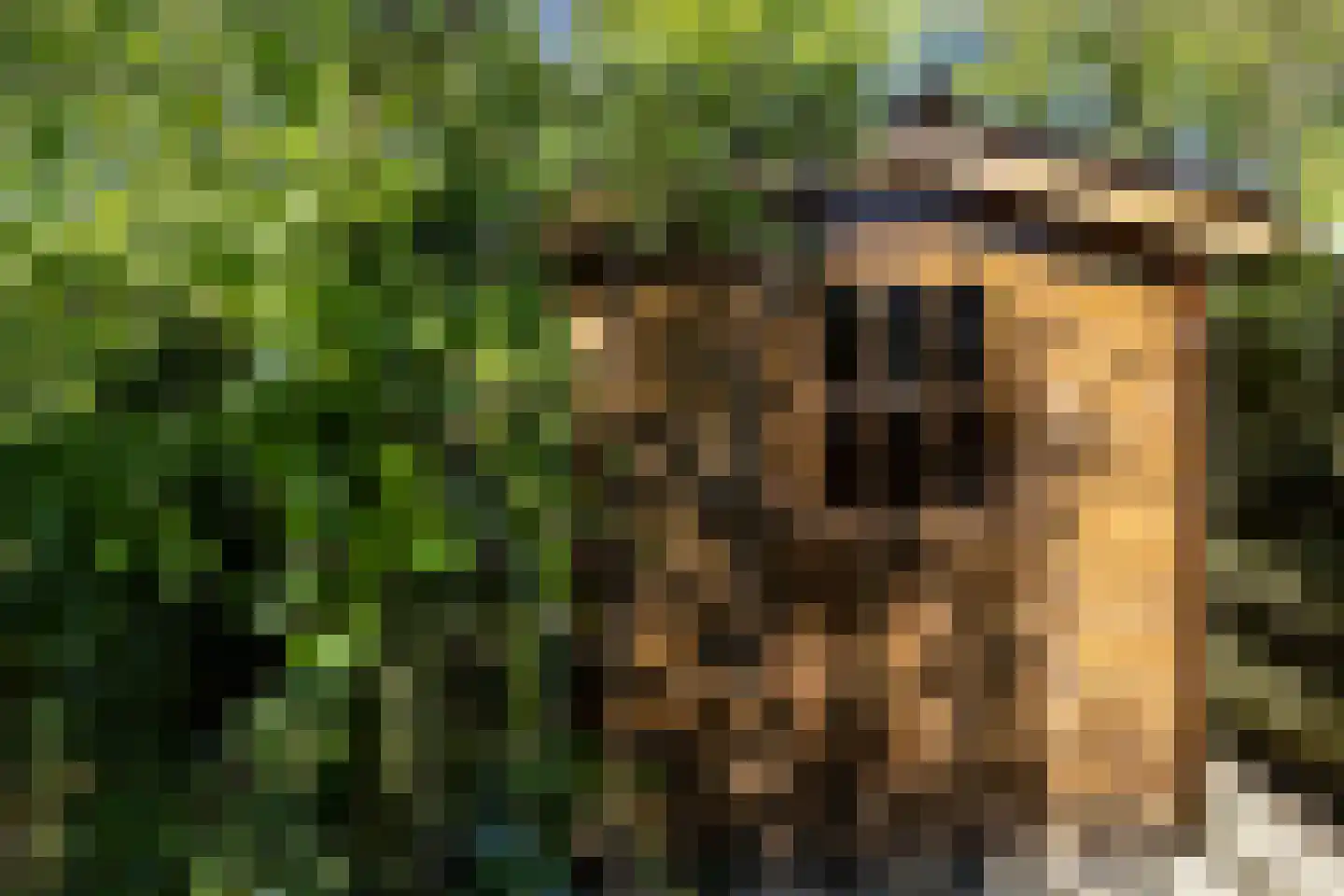 Tengnagel 1 Neede thumbnail 33
