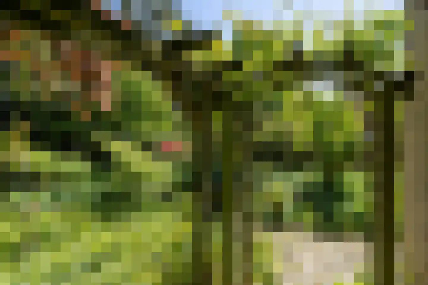 Tengnagel 1 Neede thumbnail 34