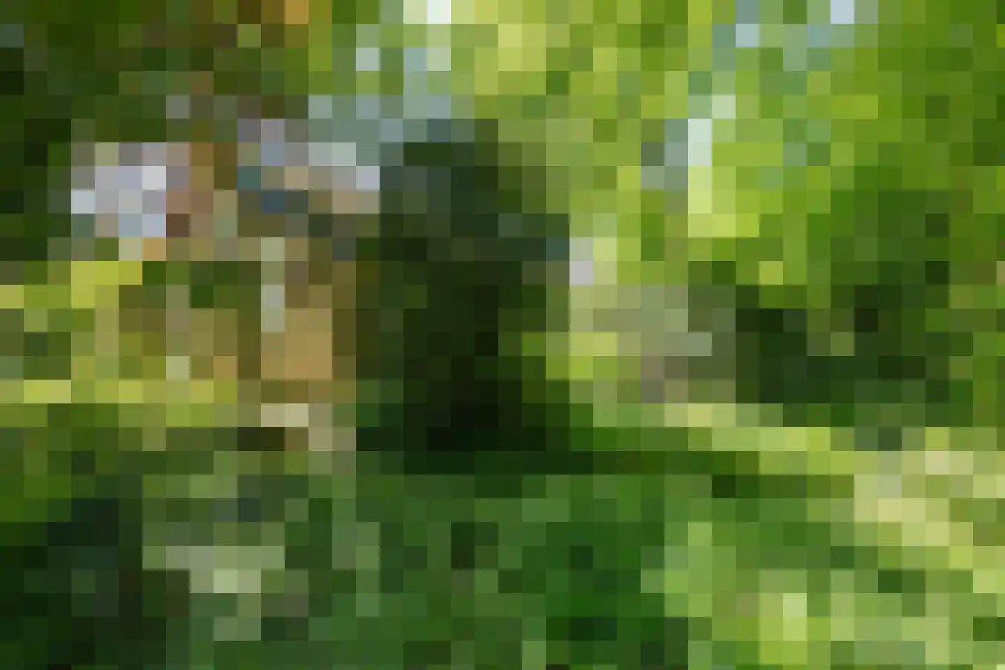 Tengnagel 1 Neede thumbnail 35