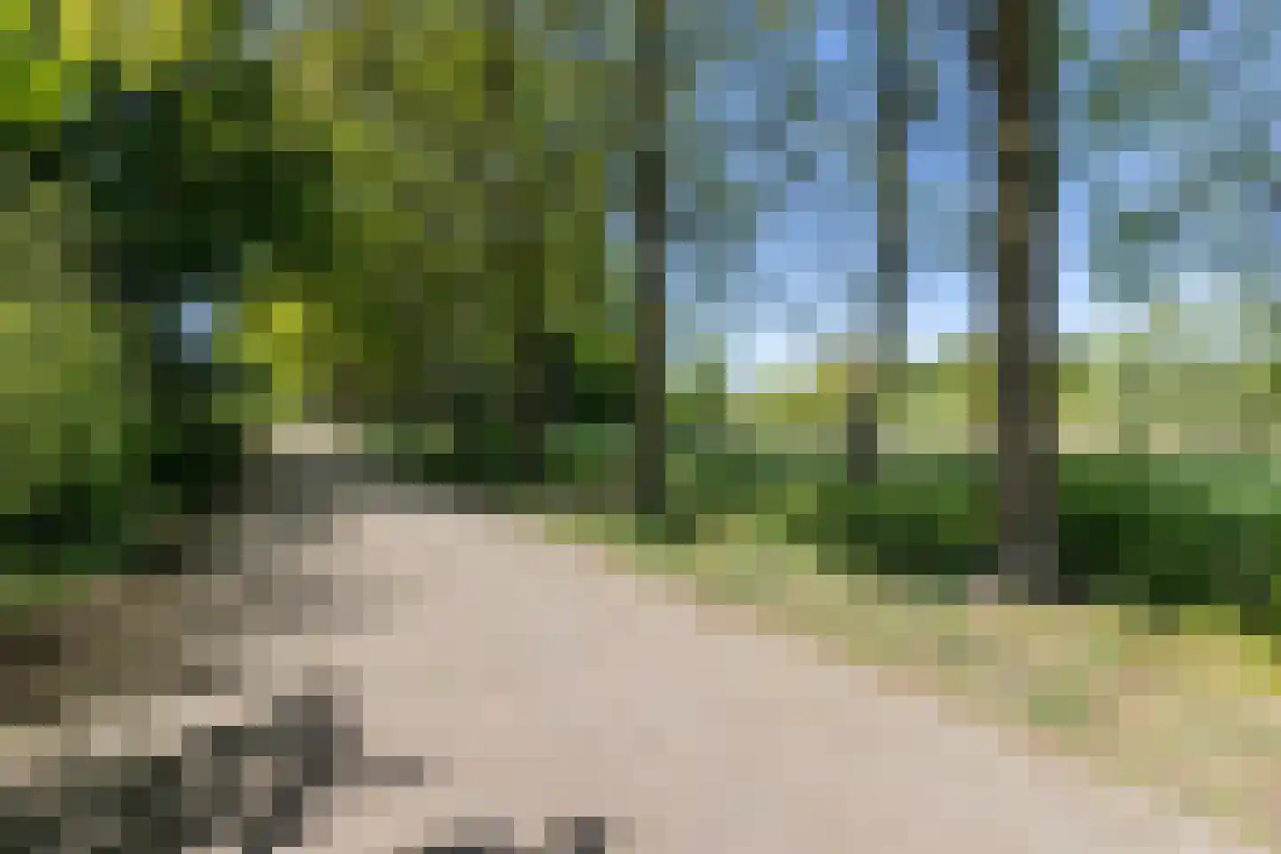 Tengnagel 1 Neede thumbnail 39