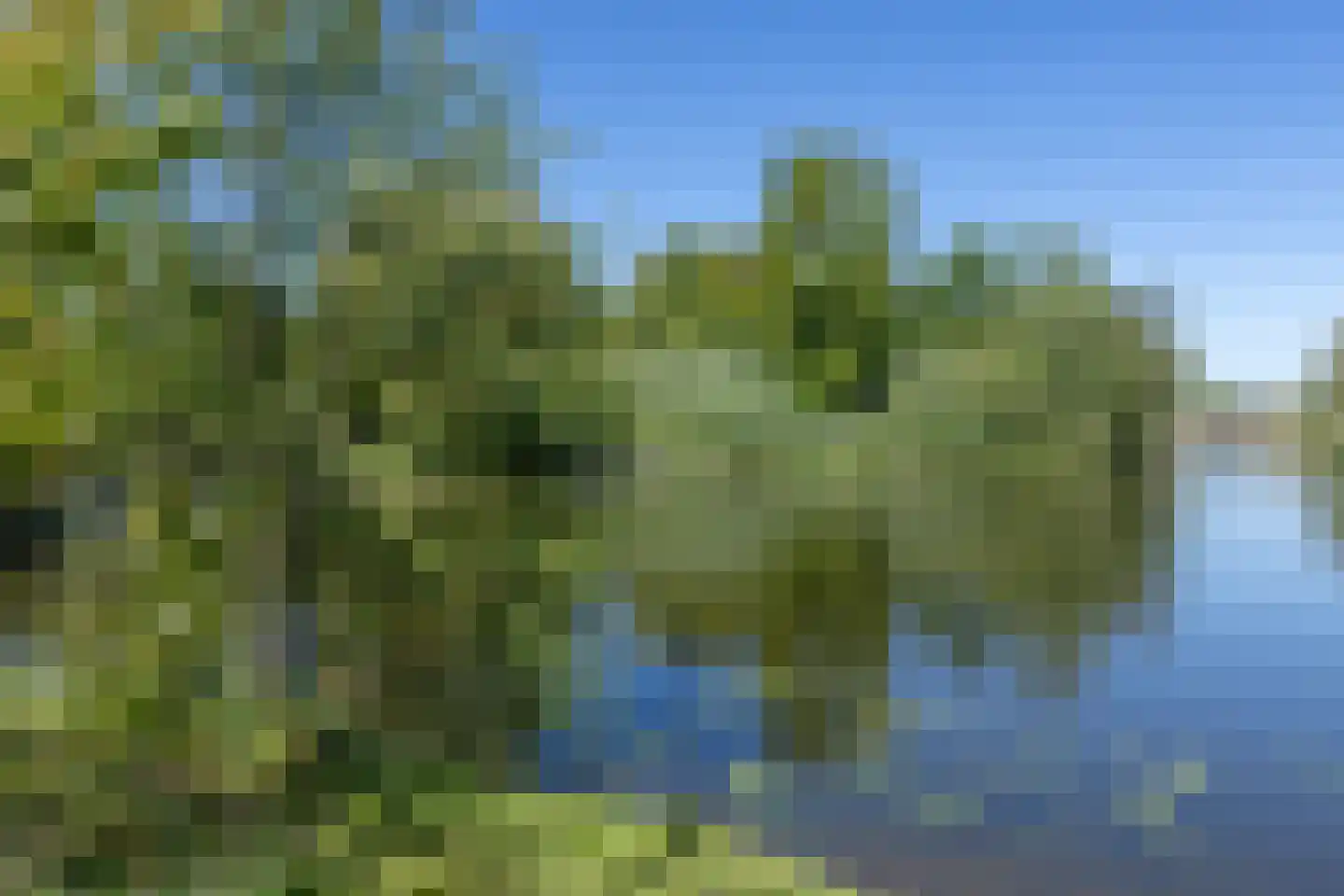 Tengnagel 1 Neede thumbnail 40