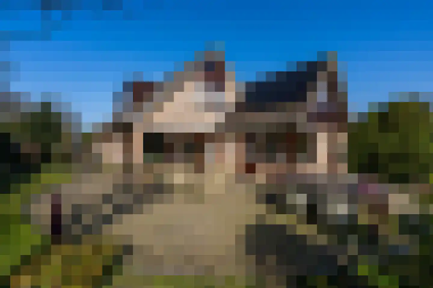 Tenierslaan 3 Naarden thumbnail 10