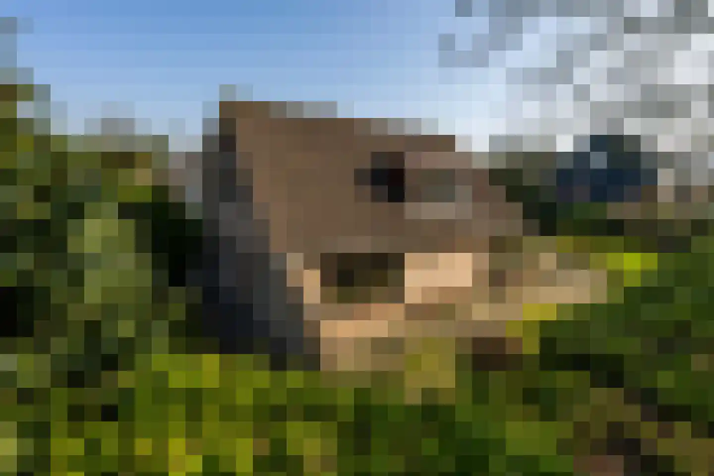 Tenierslaan 3 Naarden thumbnail 5