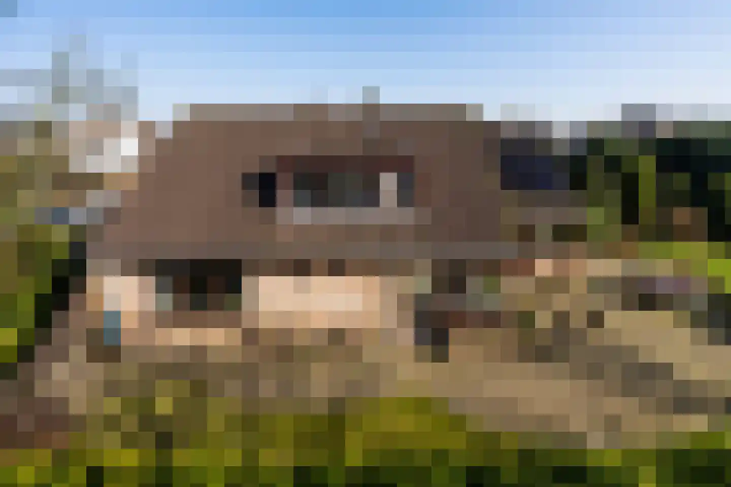 Tenierslaan 3 Naarden thumbnail 6