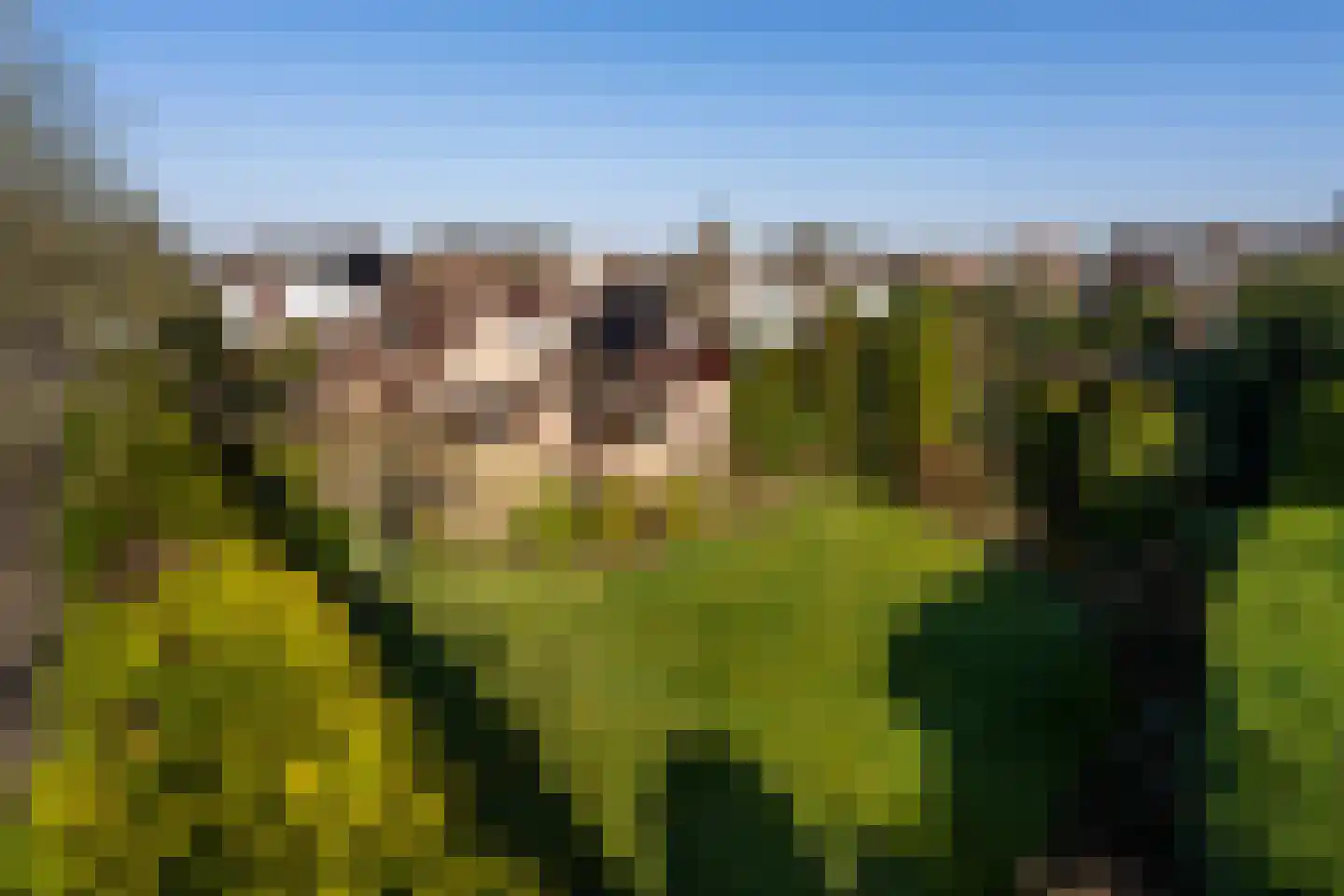 Tenierslaan 3 Naarden thumbnail 7