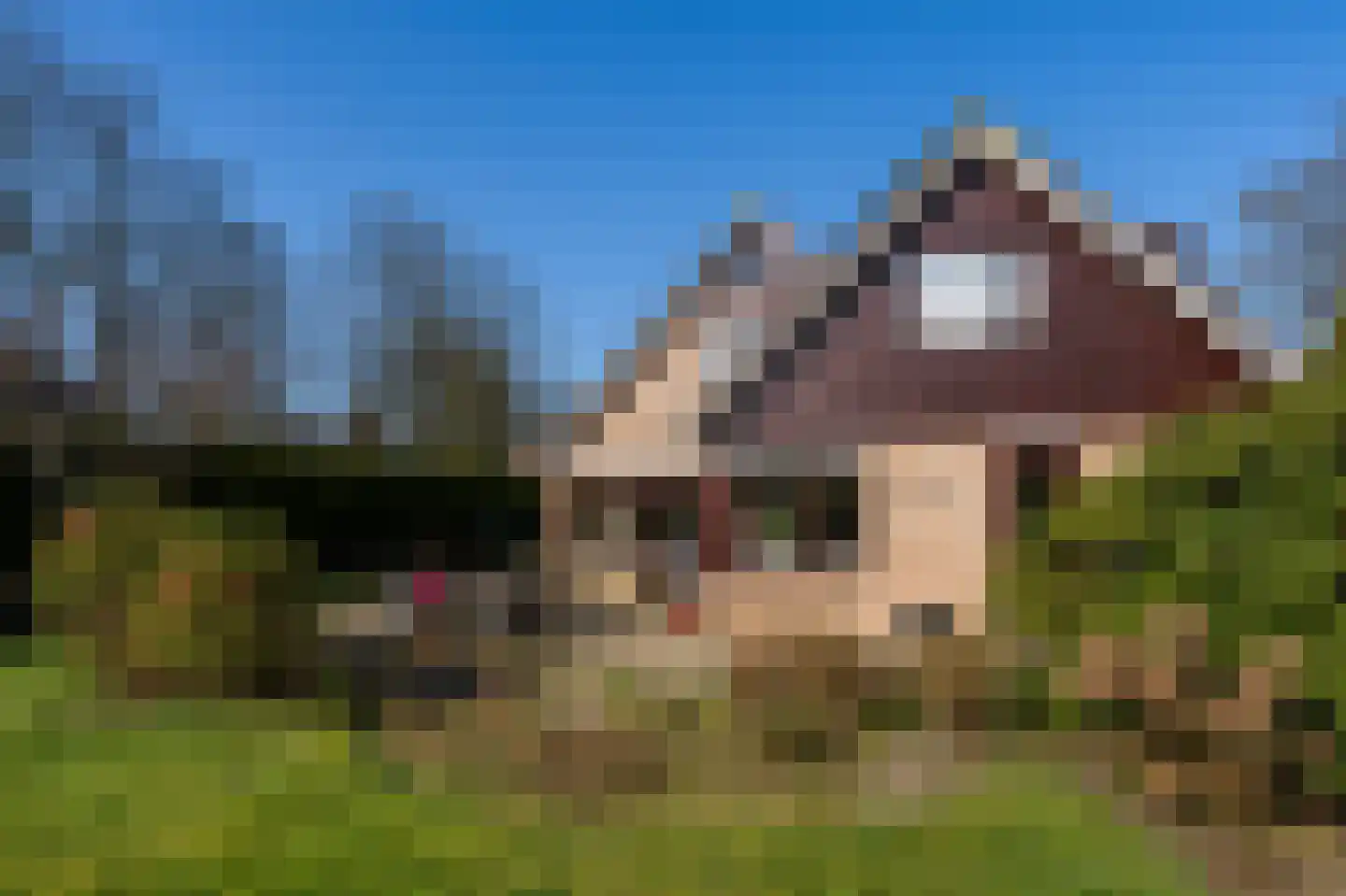 Tenierslaan 3 Naarden thumbnail 9