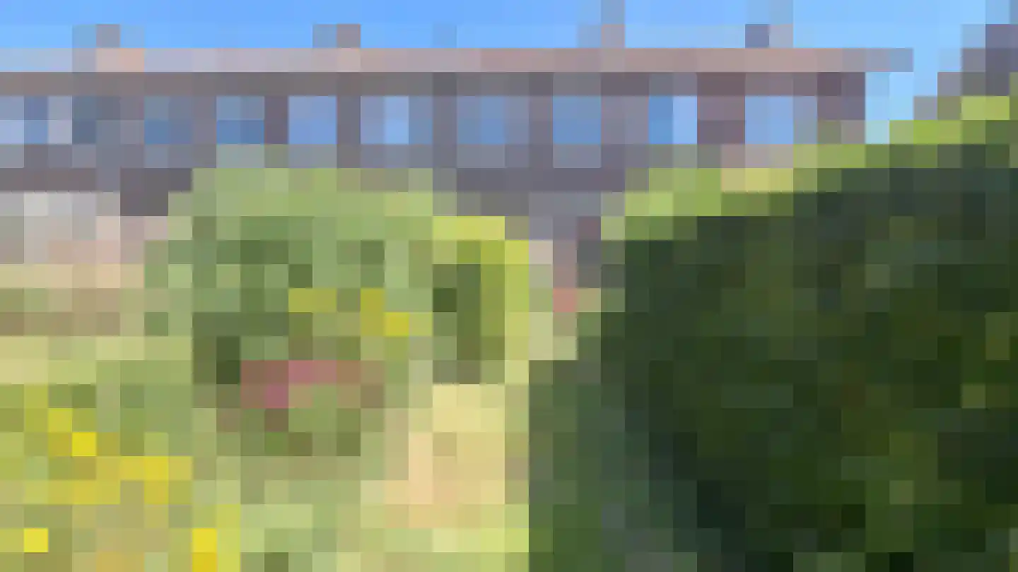 Tennisstraat 17 Rotterdam thumbnail 8