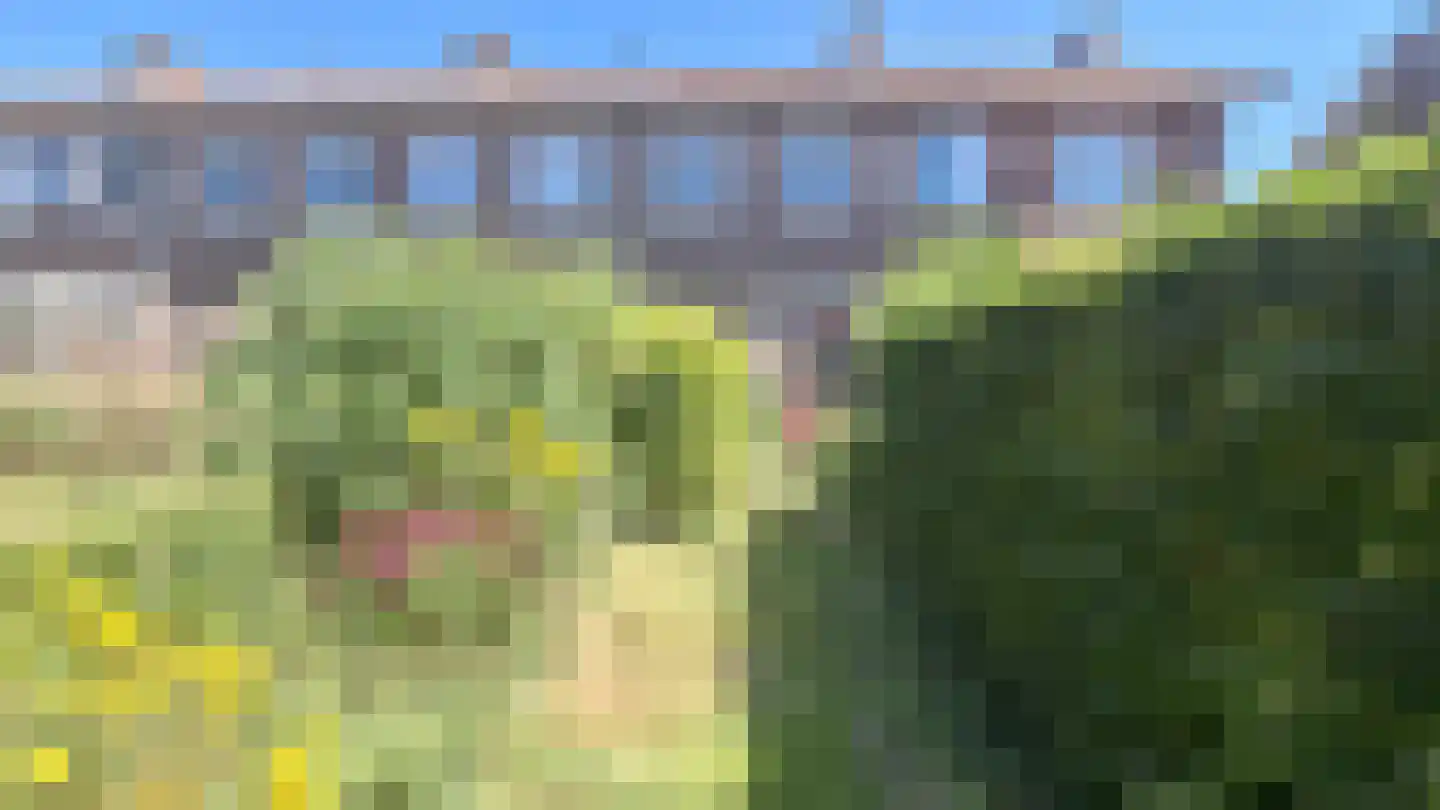 Tennisstraat 17 Rotterdam thumbnail 8