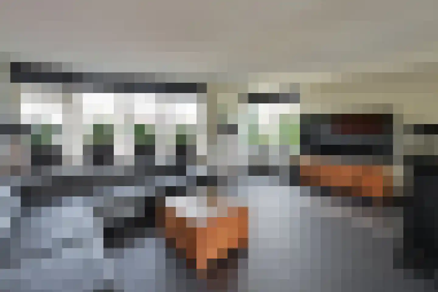 Tensenhof 1 Soest thumbnail 4