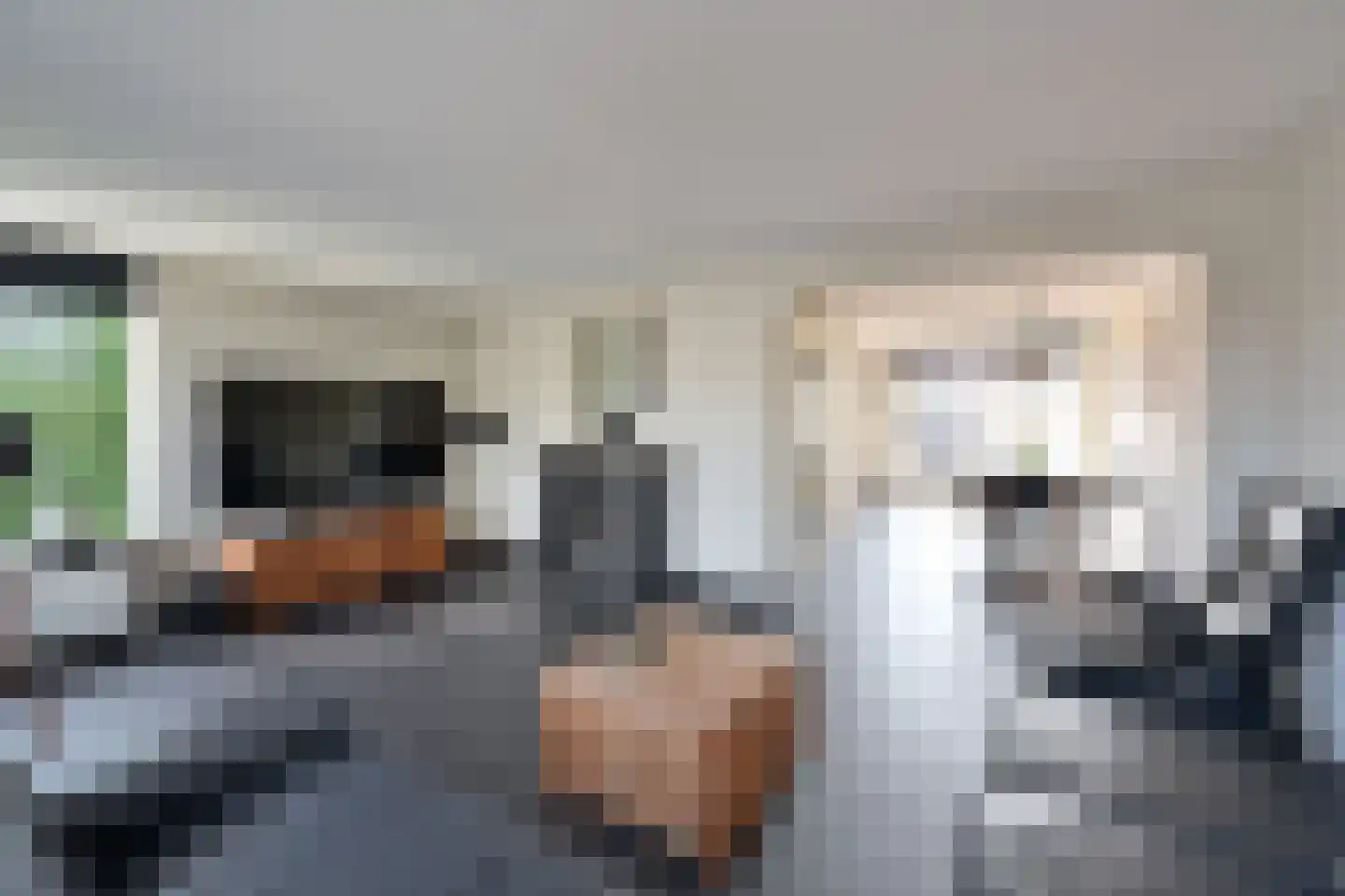 Tensenhof 1 Soest thumbnail 5