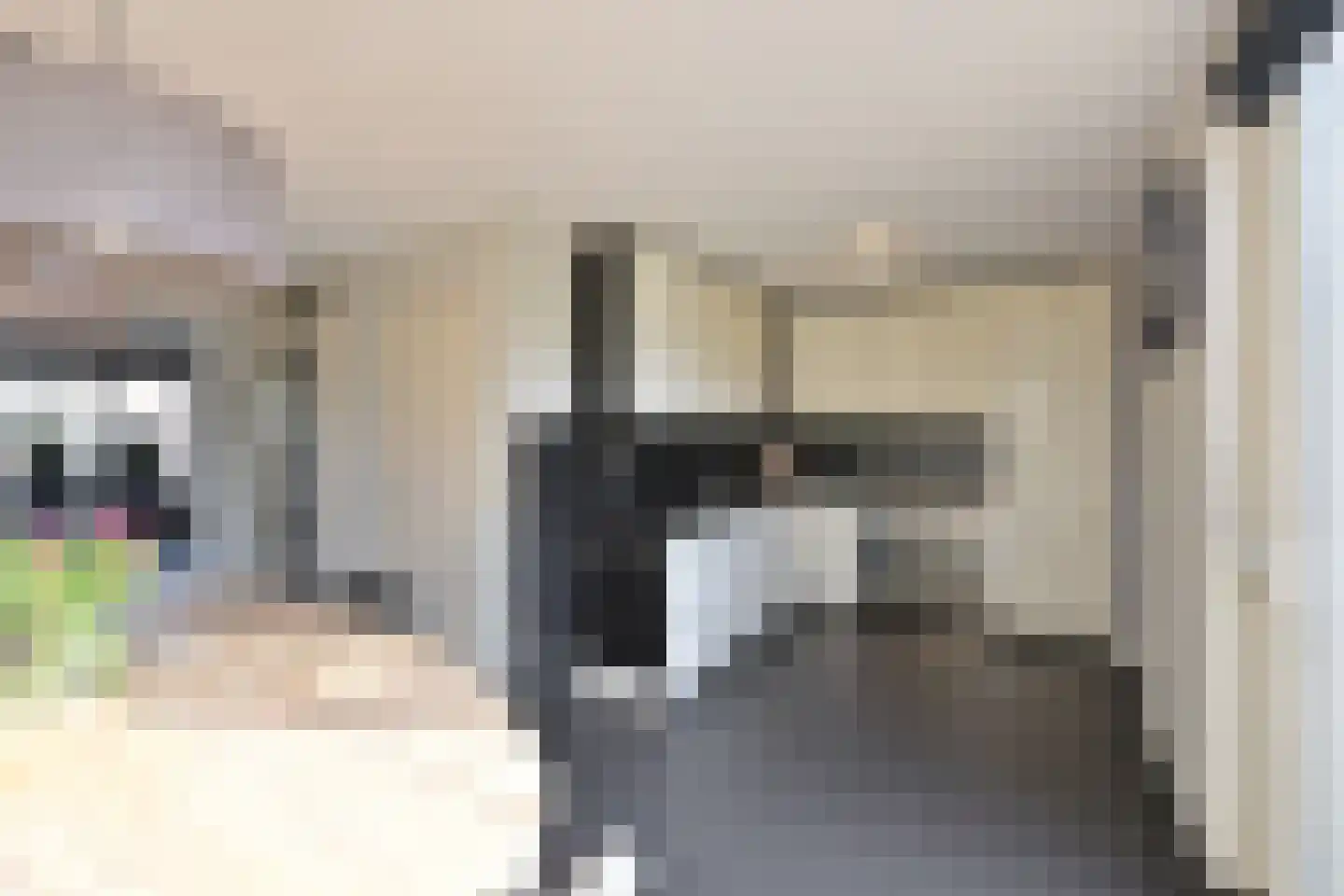 Tensenhof 1 Soest thumbnail 7