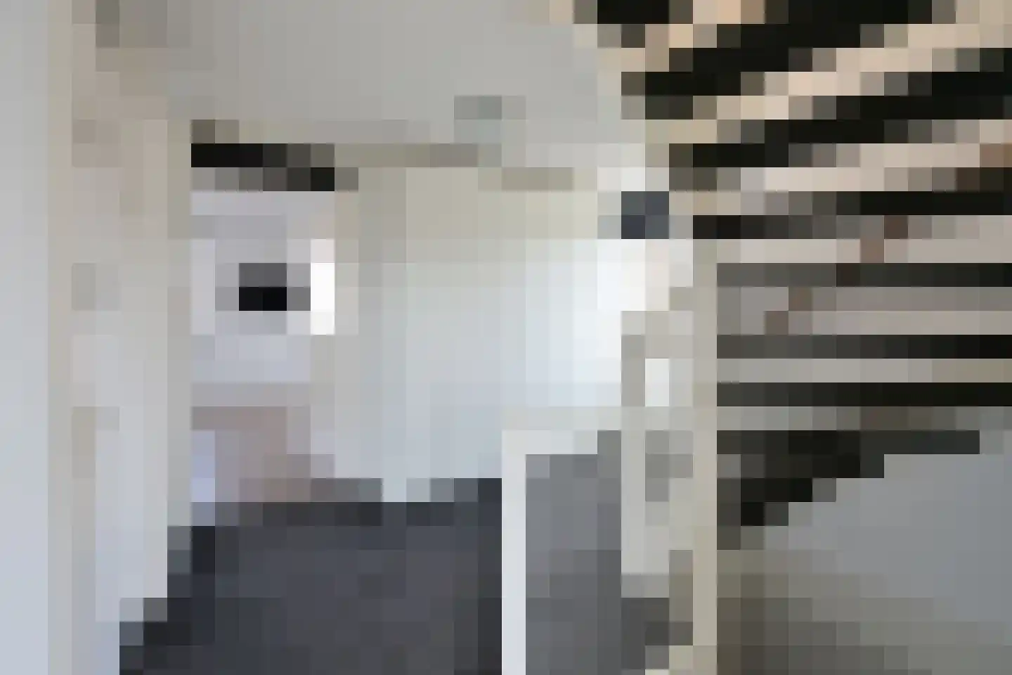 Tensenhof 1 Soest thumbnail 8