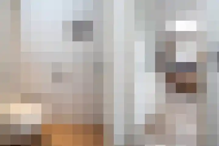 Tentenveld 2 Biddinghuizen thumbnail 12