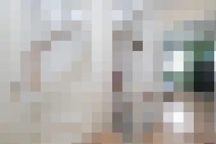 Tentenveld 2 Biddinghuizen thumbnail 14