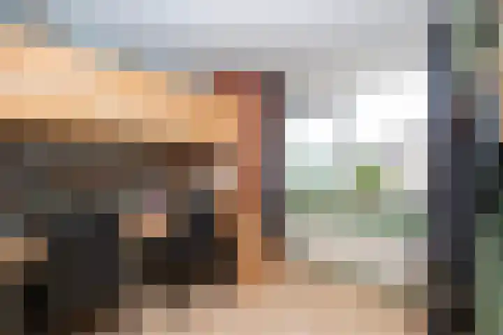Tentenveld 2 Biddinghuizen thumbnail 18