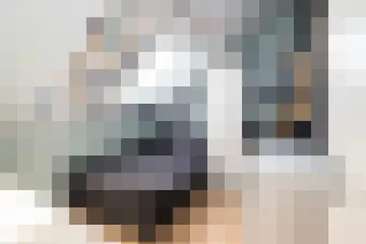 Tentenveld 2 Biddinghuizen thumbnail 22