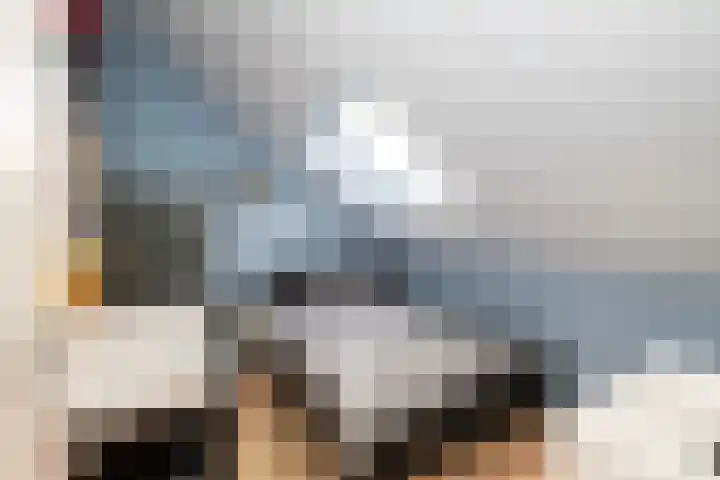 Tentenveld 2 Biddinghuizen thumbnail 23
