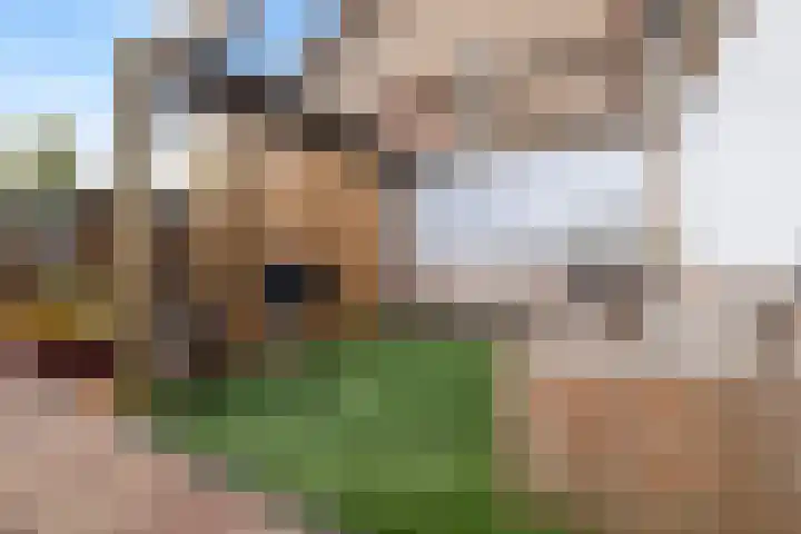 Tentenveld 2 Biddinghuizen thumbnail 27