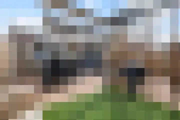 Tentenveld 2 Biddinghuizen thumbnail 28
