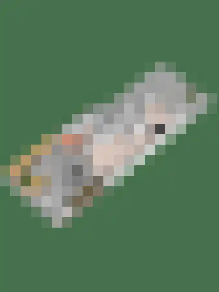 Tentenveld 2 Biddinghuizen thumbnail 34