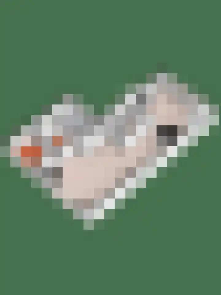 Tentenveld 2 Biddinghuizen thumbnail 35