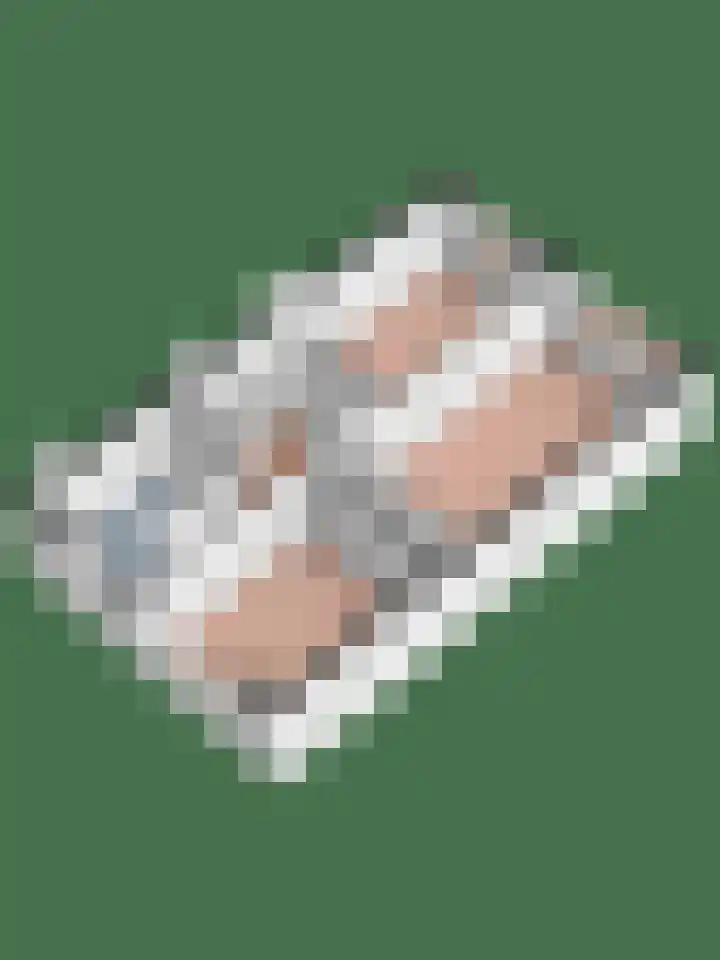 Tentenveld 2 Biddinghuizen thumbnail 36