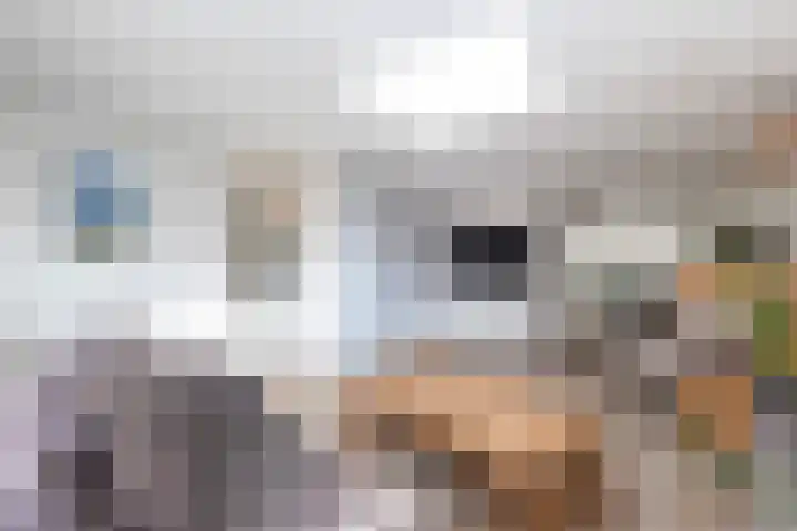 Tentenveld 2 Biddinghuizen thumbnail 6