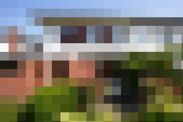 Tentstraat 114 Vaals thumbnail 20