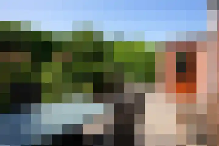 Tentstraat 114 Vaals thumbnail 22