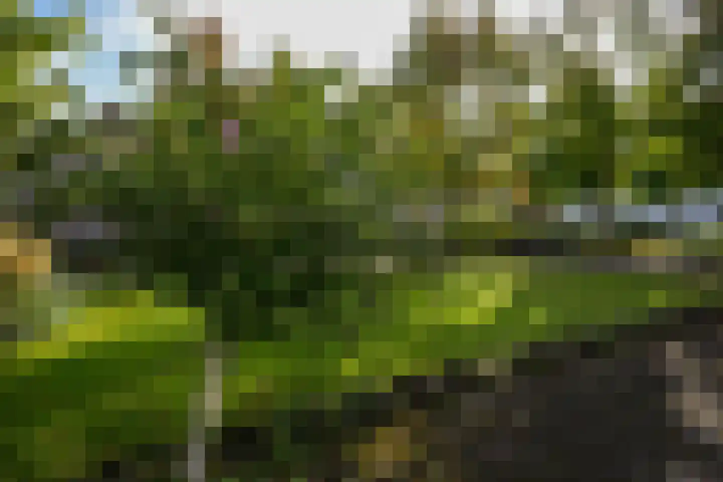 Tentstraat 73 Vaals thumbnail 20