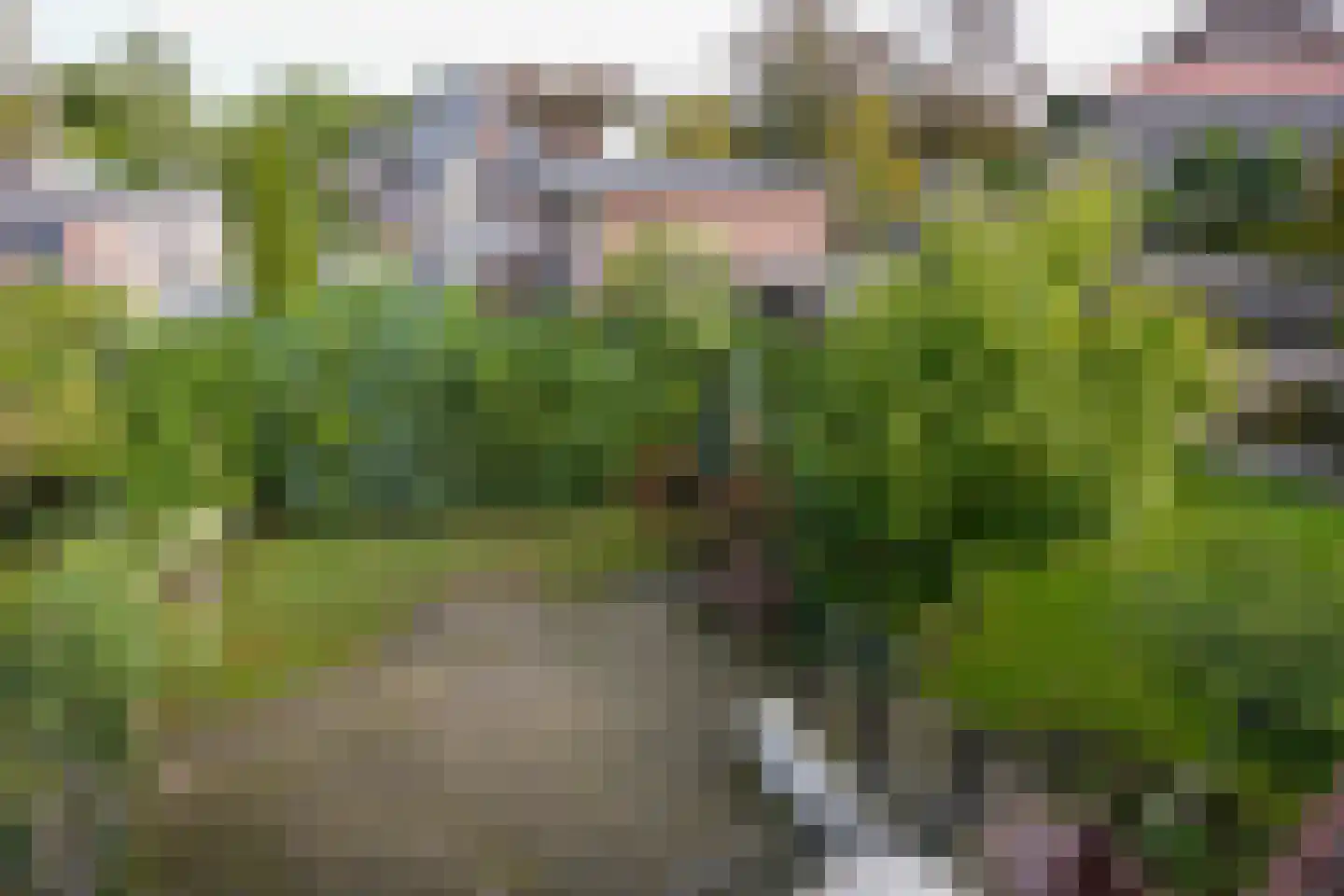 Tentstraat 73 Vaals thumbnail 21
